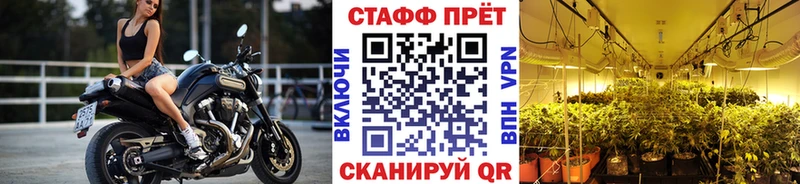 Где купить наркоту Светогорск Альфа ПВП COCAIN МЕФ АМФ МАРИХУАНА