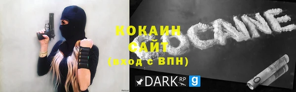 гашик Арсеньев