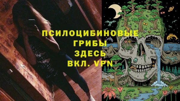 ALPHA PVP Армянск