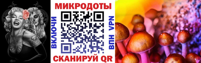цена наркотик  Светогорск  Галлюциногенные грибы ЛСД 